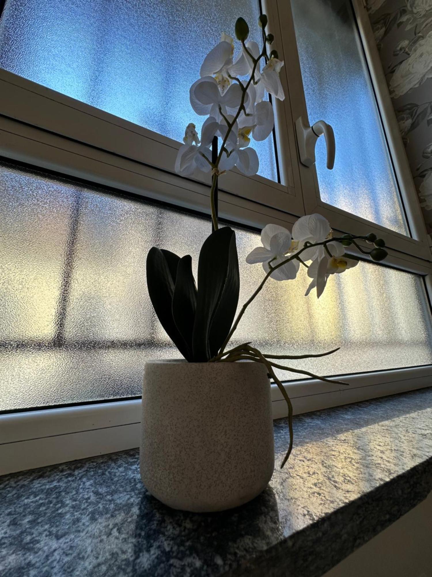Flowers, A Cozy Suite In Milan Bagian luar foto